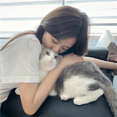 妙探双龙
